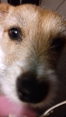 Week 8 - Summer Low Carb Bootcamp - two months almost done ...