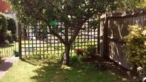 What shall we do with our new garden? Pics attached