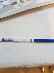 Is this just a dye run?!