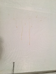 What are these mysterious orange dribbles on freshly painted walls??