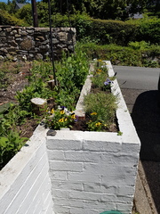 Find out how MNers are getting on with their Homebase Garden Goals challenge NOW CLOSED