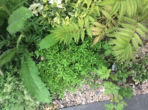 Stones in soil
