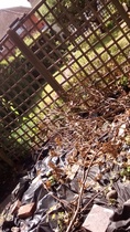What shall we do with our new garden? Pics attached