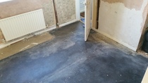 PigletJohn - I'm damp and need your help!