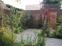 The Landscapers are here, it is better than the arrival of Santa