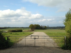 Photos taken on your cycle.