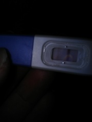 Pregnant or not?