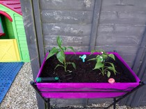 Find out how MNers are getting on with their Homebase Garden Goals challenge NOW CLOSED