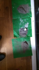 Feedback Thread for the Vorwerk Kobold VK200 Vacuum Cleaner Testers