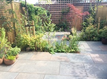 What can I plant in this difficult spot please?