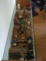 Neurodiversity support thread for women with suspected, diagnosed or self-diagnosed autism, ADHD and other NDs #18