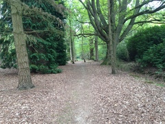 Photos taken on your cycle.