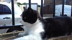 Week 8 - Summer Low Carb Bootcamp - two months almost done ...