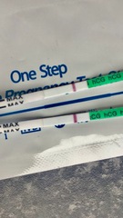 Pregnancy tests