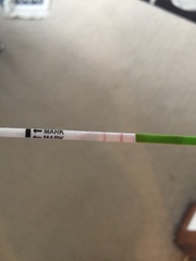 Ovulation