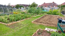 Allotment?Veg Patch Thread 10 - Plotmenters  busy into summer ! and loving James Wong