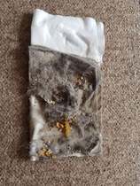 Feedback Thread for the Vorwerk Kobold VK200 Vacuum Cleaner Testers