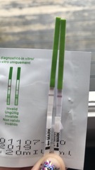 Ok so is this a positive opk??