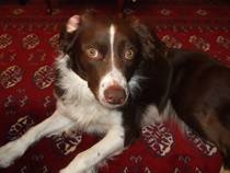 Week 8 - Summer Low Carb Bootcamp - two months almost done ...