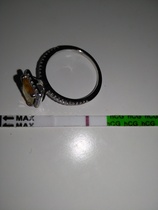 Jesus Christ someone tape my hands together - Prego Tests