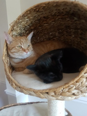 Dennis and Mildred : update (with pics!)