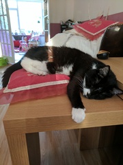 Week 8 - Summer Low Carb Bootcamp - two months almost done ...