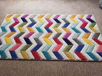 Feedback Thread for the Vorwerk Kobold VK200 Vacuum Cleaner Testers