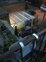 Cats still catting Part 4