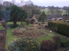 Gardening idiot seeks advice...