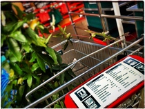Bunnings home improvement and gardening store - share your best home improvement tips - win £200 voucher NOW CLOSED