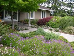 To astro turf my garden?