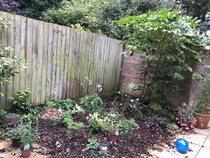What would you put in this corner ?