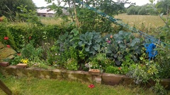 Does anyone love designing gardens for total strangers? <hopeful>