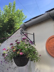 Pot plants for shady area by front door