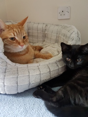 Dennis and Mildred : update (with pics!)
