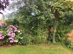 Border help please.