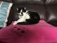 Please cross fingers and paws!