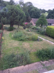 Gardening idiot seeks advice...