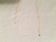 What are these mysterious orange dribbles on freshly painted walls??