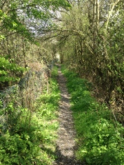 Photos taken on your cycle.