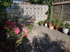 Find out how MNers are getting on with their Homebase Garden Goals challenge NOW CLOSED