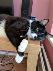 Week 8 - Summer Low Carb Bootcamp - two months almost done ...