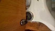 How the heck do I remove this old loo seat? Rust!