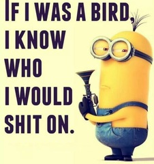 new minions movie??