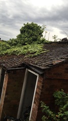Help! New house and no idea what to do with space at the back