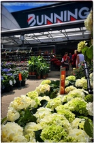 Bunnings home improvement and gardening store - share your best home improvement tips - win £200 voucher NOW CLOSED