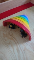 To think Grimms Rainbow is the wankiest toy?