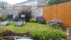 Cottage garden, hopeless gardener, help appreciated