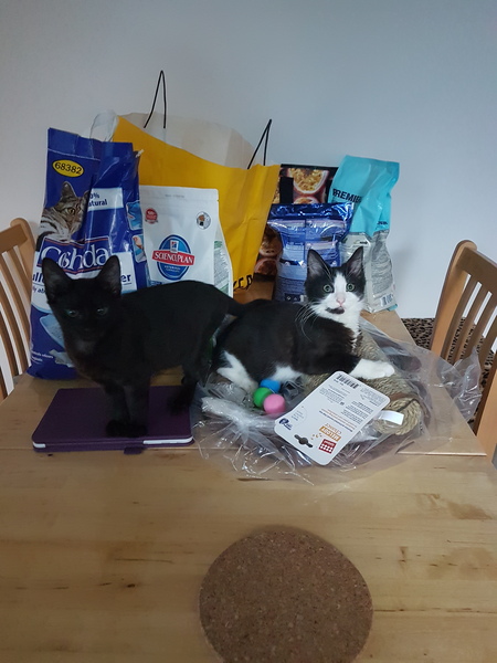The little furry fuckers
