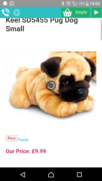 WIBU to tell colleague she shouldn't have a dog?